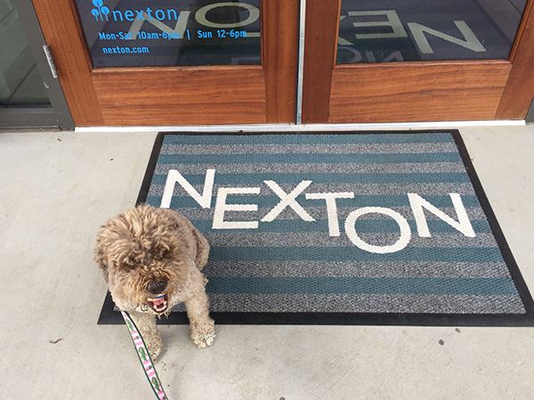 Dog in front of the Nexton Greeting House.