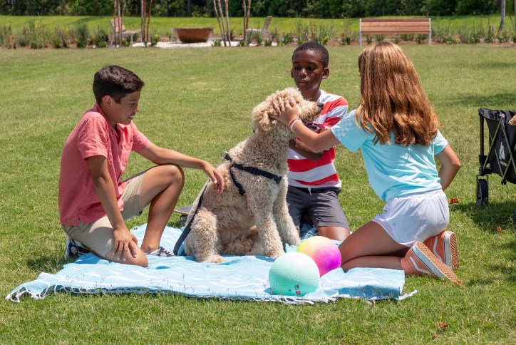 Wellness Living Nexton Summerville