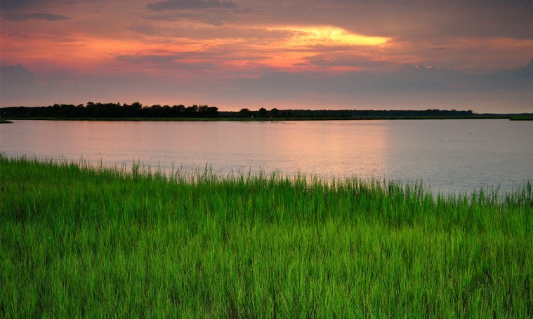 Coastalgrasswatersunset.jpg