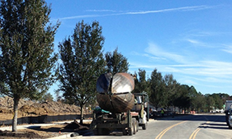 Large-Tree-Truck.jpg