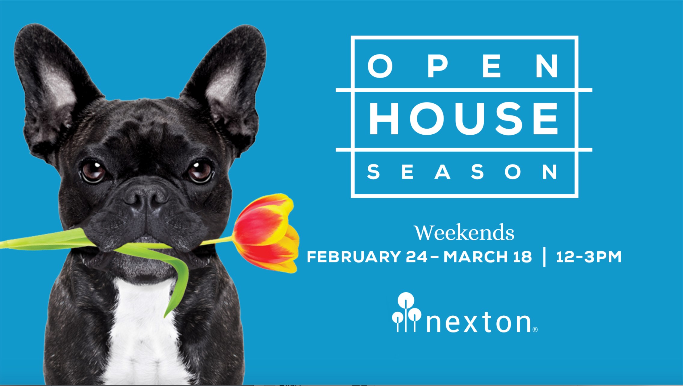 Nexton Spring Open House 2018 banner image