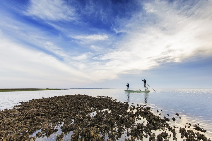 fishing from a flats boat