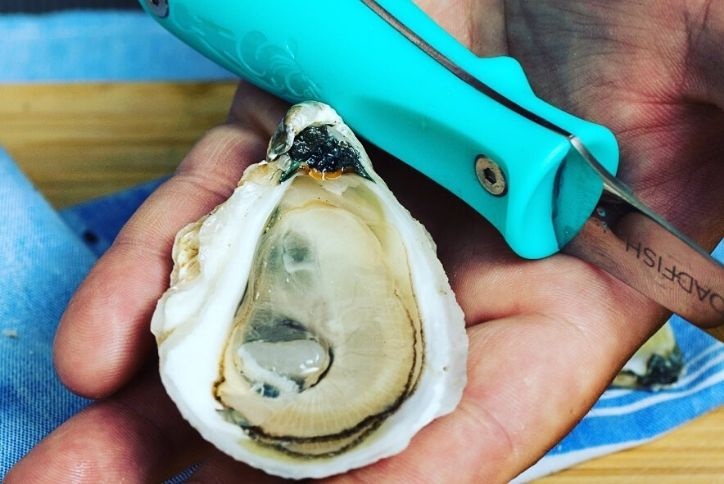 Shucking Oysters