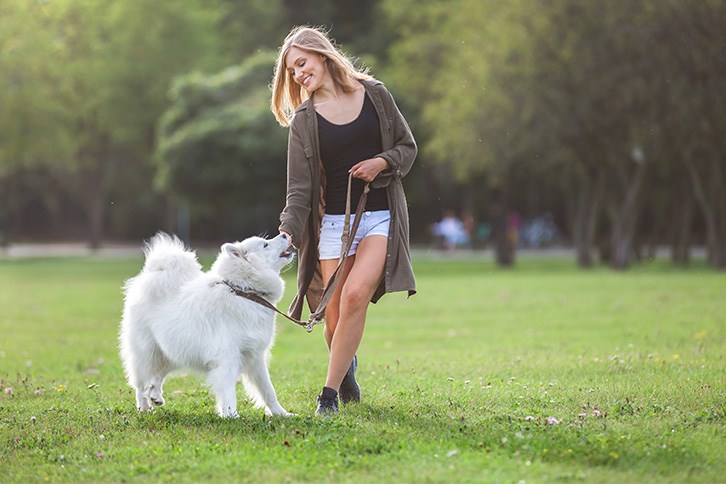 Girl walking dog in park