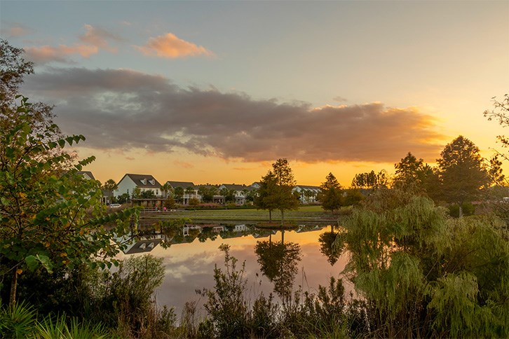 Nexton open space at sunset.