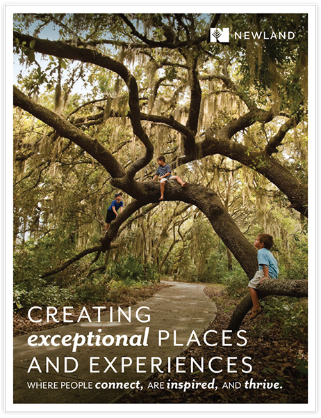 Newland Consumer Brochure