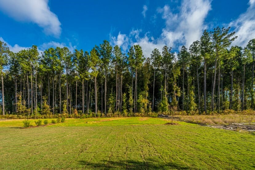 Homes By Dickerson Hampton home plan backyard