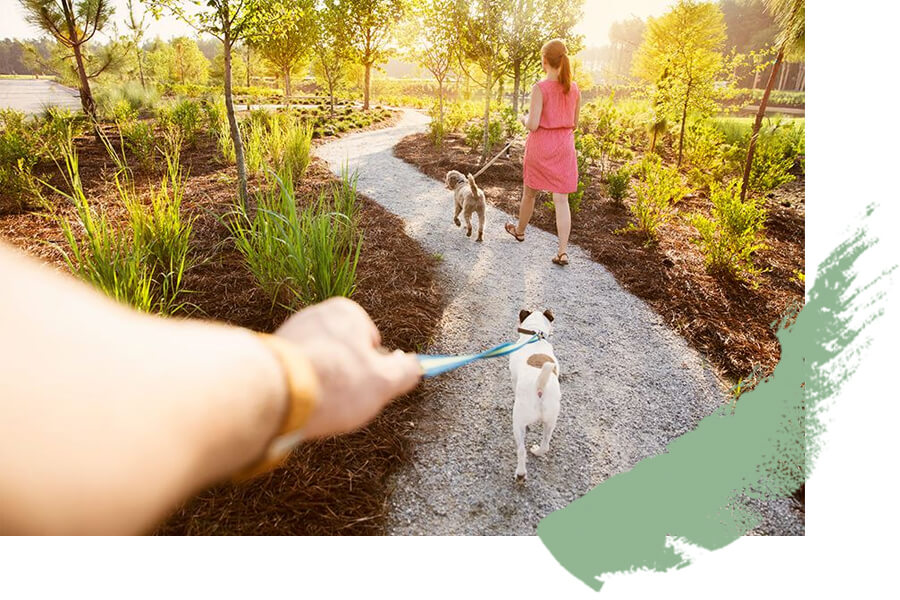 Woman walking her dog along trail in Nexton
