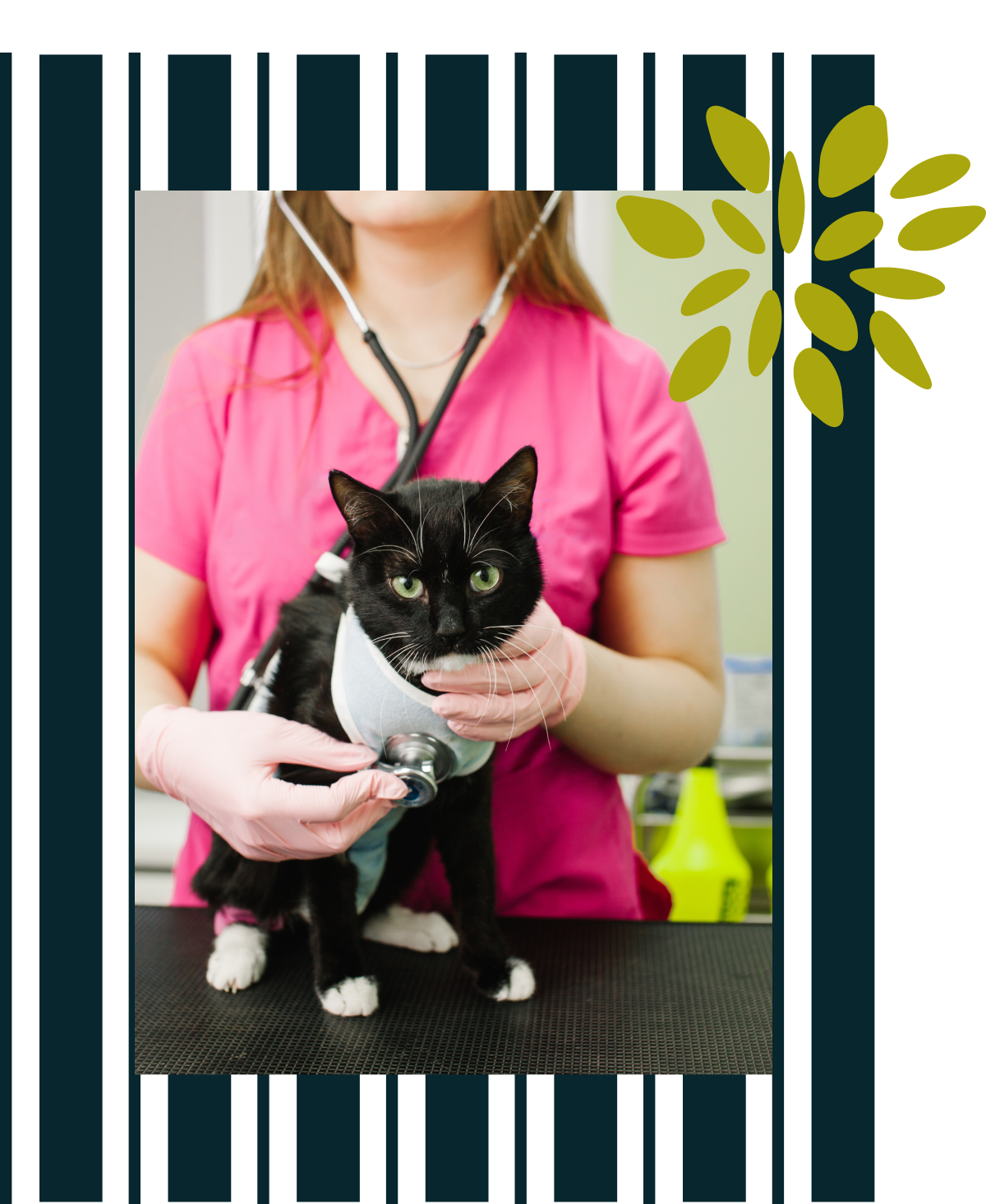 Pets of Nexton