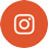 Instagram icon