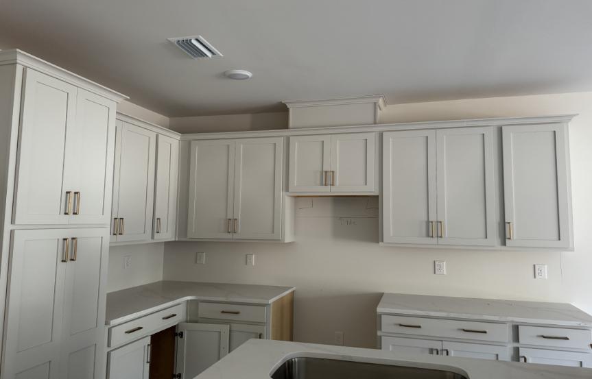 Ashton Wood 55+ Palmetto Spec Lot 98 Kitchen